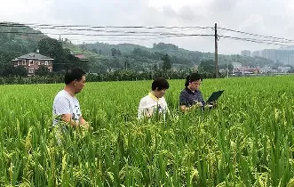02Manual irrigation